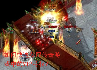 ��ο��ٻ�ȡ������Ϸ�е�VIP��Ȩ��