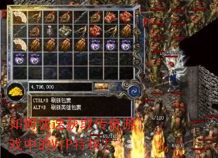 ��ο��ٻ�ȡ������Ϸ�е�VIP��Ȩ��