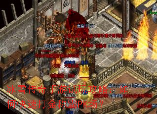 ��ѩ�����������湥�ԣ���ο��ٴ��ư�PK����