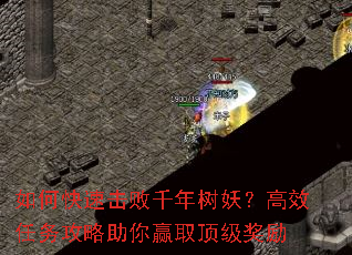 ��ο��ٻ���ǧ����������Ч����������Ӯȡ��������