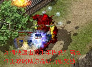 ��ο��ٻ���ǧ����������Ч����������Ӯȡ��������