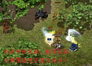 �տ�����˽�����������Ϊ��Ҫ����������ս����