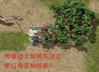 �����ʿ��θ�Ч�����ٻ����＼�ܣ�