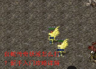 ���ߴ���������ô���������Ź������