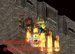 ������BOSS���ܺ��ܱ�����Щϡ��װ����