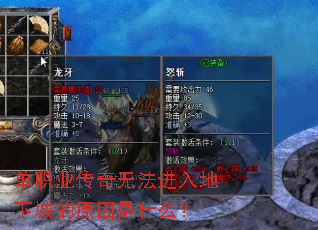 ��ְҵ�����޷�������³ǵ�ԭ����ʲô��