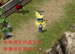 ������Ϸ������������Щʵ�ü��ɣ�