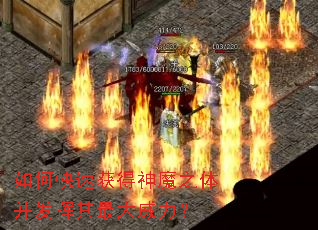 ��ο��ٻ����ħ֮�岢���������������