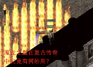 ħ��֮Ѫ�ڸ��Ŵ����о����к����ã�