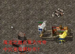 ħ��֮Ѫ�ڸ��Ŵ����о����к����ã�