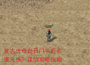 ���Ŵ����������ҳ���Ķһ�����ϸ����ָ��