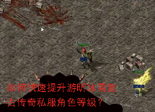 ��ο���������꿱�ѩ���Ŵ���˽����ɫ�ȼ���