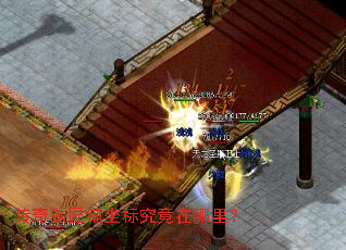 �������������꾿�������