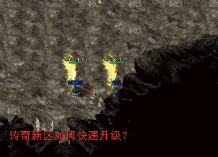 ����������ο���������