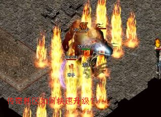 ����������ο���������