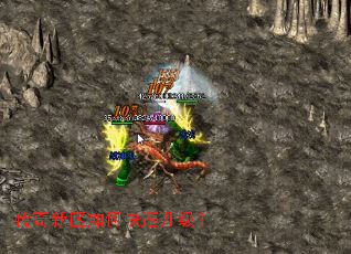 ����������ο���������