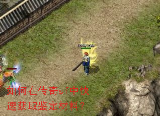 ����ڴ���sf�п��ٻ�ȡ�������ϣ�