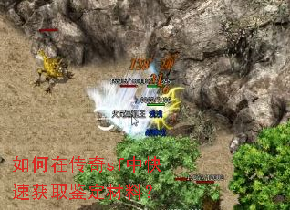 ����ڴ���sf�п��ٻ�ȡ�������ϣ�