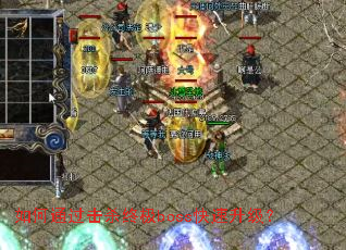 ���ͨ����ɱ�ռ�boss����������