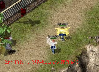 ���ͨ����ɱ�ռ�boss����������