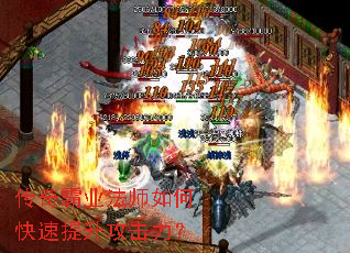 �����ҵ��ʦ��ο���������������