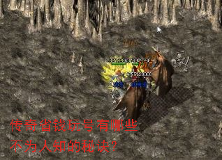 ����ʡǮ�������Щ��Ϊ��֪���ؾ���