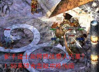 ���ֵ�ʿ�����ս���˹�Ĺ��1.85Ӣ�ۺϻ��湥��ָ��