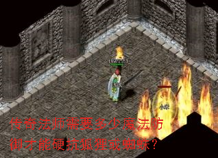 ���淨ʦ��Ҫ����ħ����������Ӳ�������֩�룿