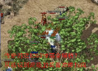 ������ϷBOSS����ȫ�������ӳ������߼���װ������ָ��