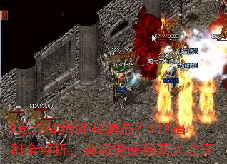 0봵���ιһ���Ӯ��VIP����ȫ������������Ϯ�ؼ��󹫿�