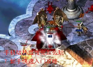 �ֻ�����Ѫ������ô�棿���ֿ������Ź���