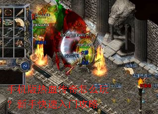 �ֻ�����Ѫ������ô�棿���ֿ������Ź���