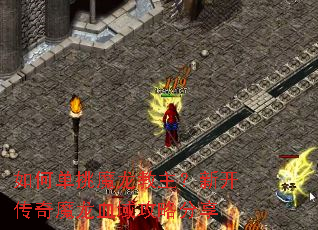 ��ε���ħ���������¿�����ħ��Ѫ���Է���