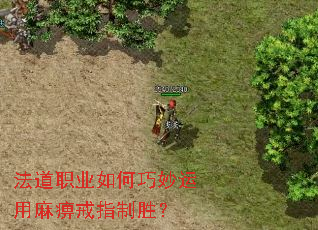 ����ְҵ�������������Խ�ָ��ʤ��