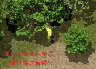 ���Ϊ����˽�������µ�ħ����Ч��