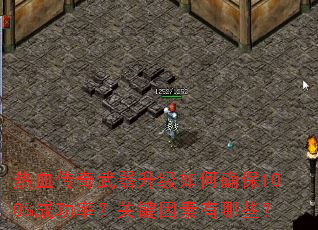 ��Ѫ���������������ȷ��100%�ɹ��ʣ��ؼ���������Щ��