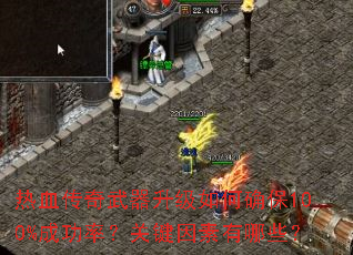 ��Ѫ���������������ȷ��100%�ɹ��ʣ��ؼ���������Щ��