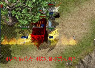 �������Ŵ������װ����������