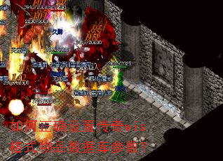 如何正确设置传奇wis格式物品数据库参数? 如何正确设置传奇wis格式物品数据库参数?