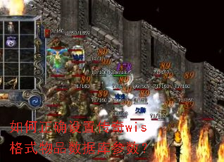 如何正确设置传奇wis格式物品数据库参数? 如何正确设置传奇wis格式物品数据库参数?