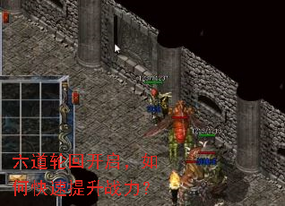 �����ֻؿ�������ο�������ս����