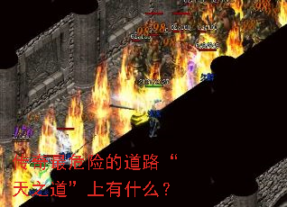 传奇最危险的道路“天之道”上有什么? 传奇最危险的道路“天之道”上有什么?