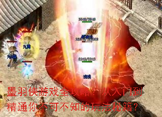 ī������Ϸȫ���ԣ������ŵ���ͨ�㲻�ɲ�֪���淨�ؼ���