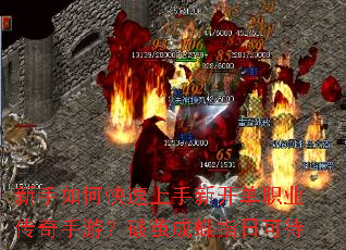 ������ο��������¿���ְҵ�������Σ��Ƽ�ɵ�ָ�տɴ�