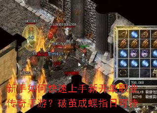 ������ο��������¿���ְҵ�������Σ��Ƽ�ɵ�ָ�տɴ�