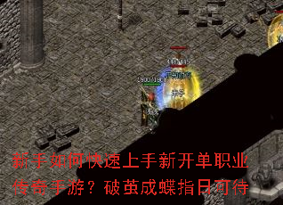 ������ο��������¿���ְҵ�������Σ��Ƽ�ɵ�ָ�տɴ�