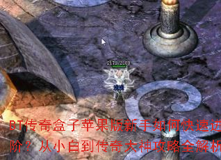 BT�������ƻ����������ο��ٽ��ף���С�׵����������ȫ����