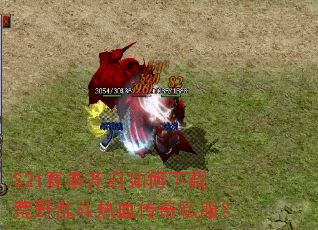 S21��������������ػ�Ұ�Ҷ���Ѫ����˽����