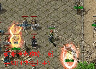 新服传奇攻略:新手如何快速上手? 新服传奇攻略:新手如何快速上手?