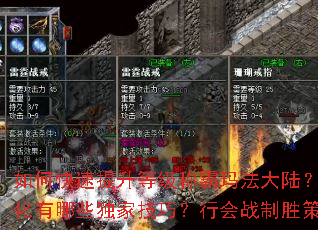 如何快速提升等级称霸玛法大陆?装备获取与强化有哪些独家技巧?行会战制胜策略是什么? 如何快速提升等级称霸玛法大陆?装备获取与强化有哪些独家技巧?行会战制胜策略是什么?